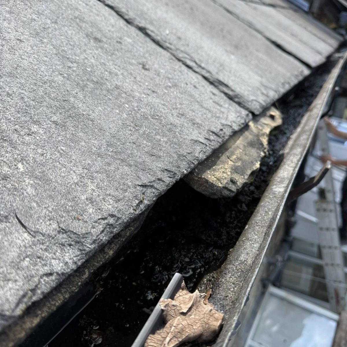 Gutter-Replacement-Experts-in-Otley.jpg Gutter-Replacement-Experts-in-Otley.jpg